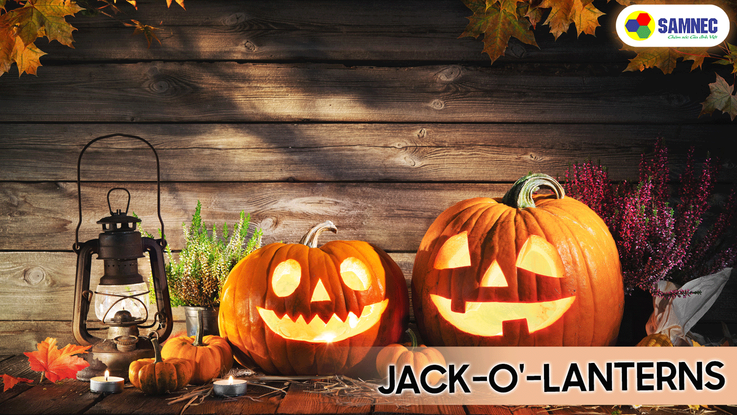  “Jack O’Lantern.”