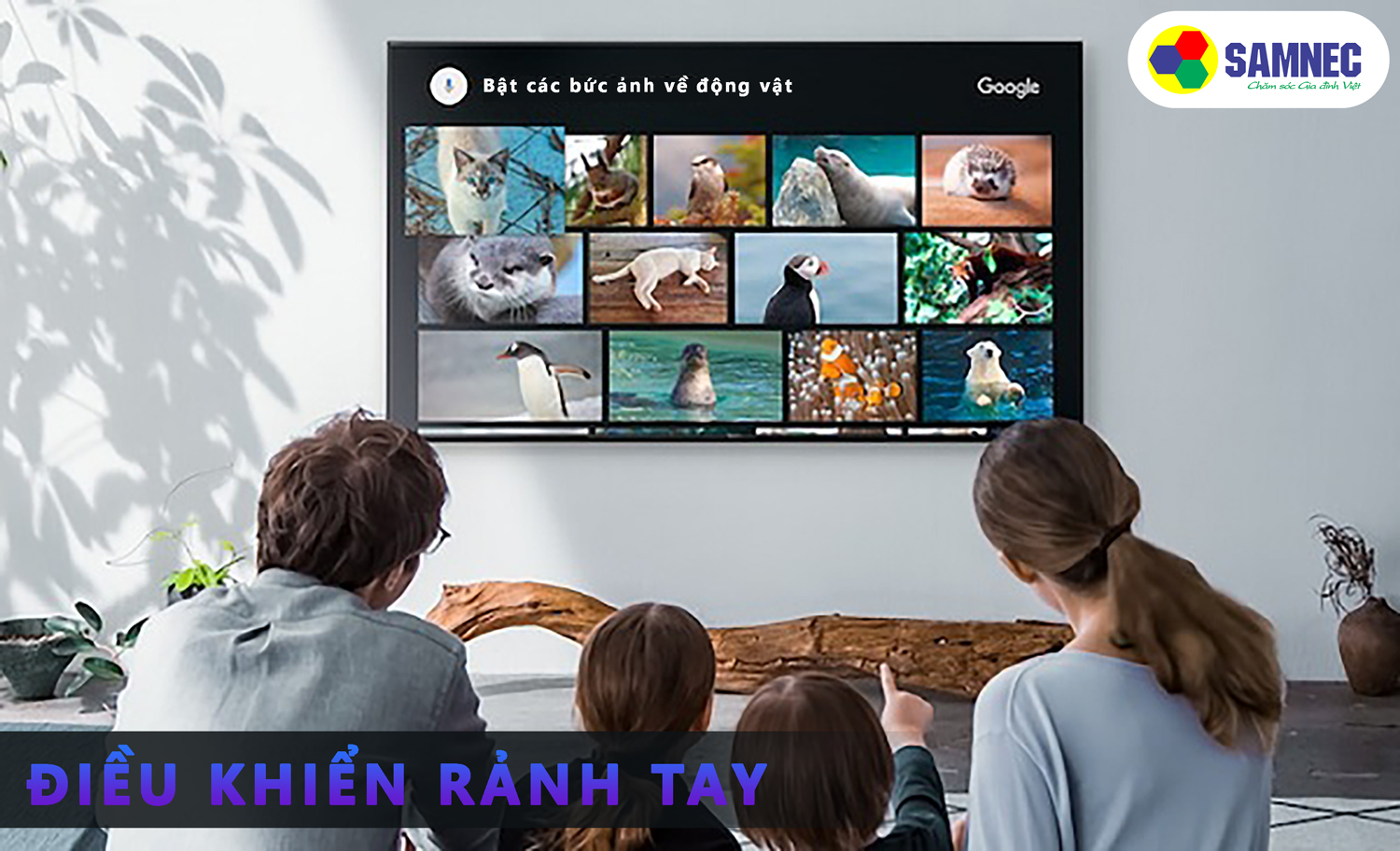 Điều khiển rảnh tay