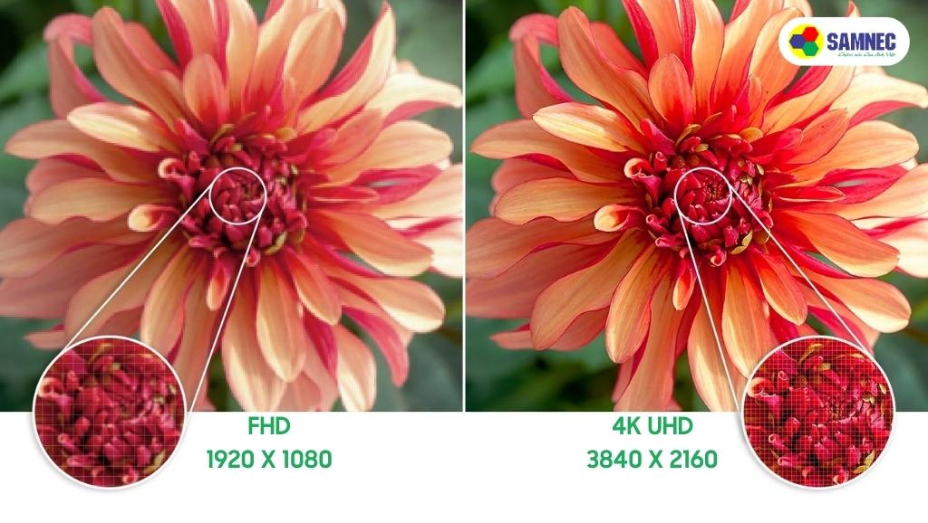 Độ phân giải 4K của Tivi Samsung AU7700