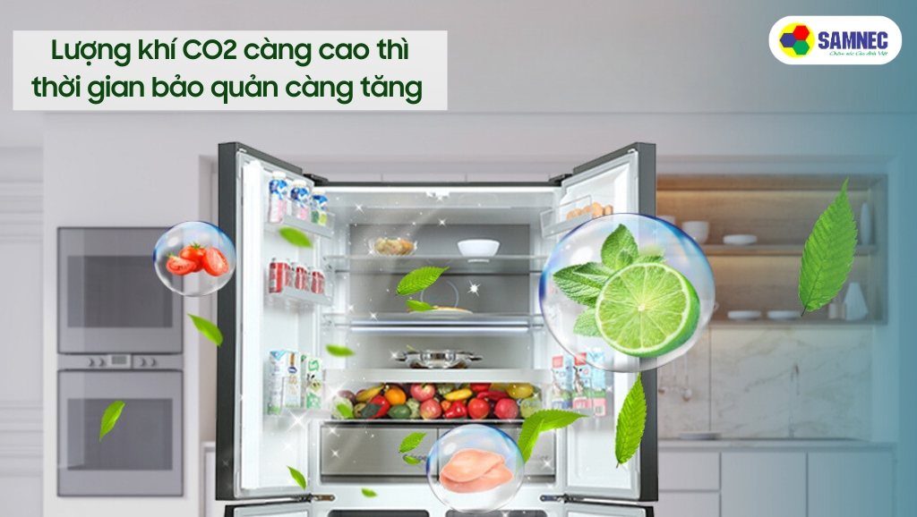 Lượng khí CO2 càng cao thì thời gian bảo quản càng tăng 