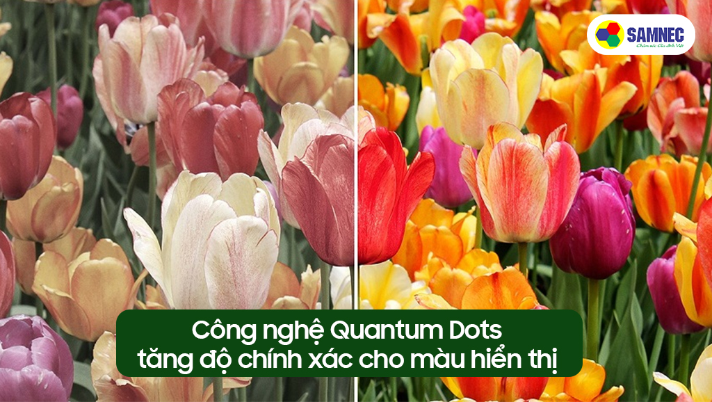 Công nghệ Quantum Dots tăng độ chính xác cho màu hiển thị