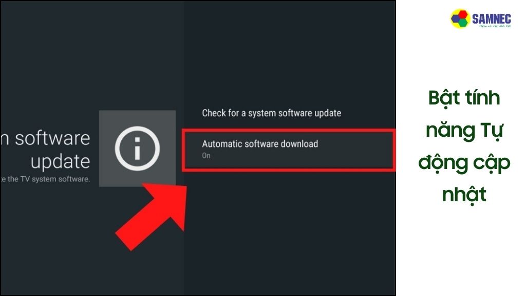 Bật tính năng Tự động cập nhật trên tivi Sony