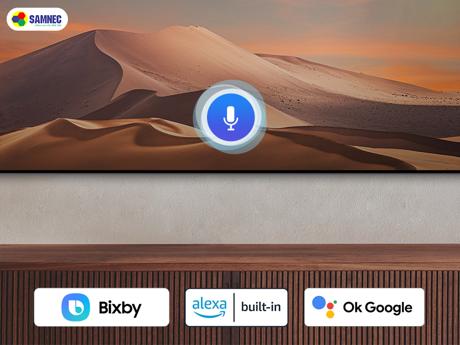 google-assistant
