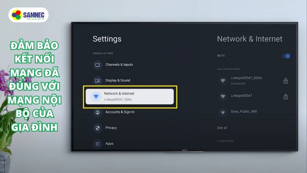 Đảm bảo kết nối mạng của tivi Sony đã đúng với mạng nội bộ