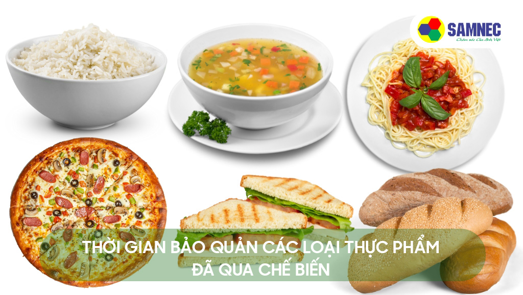 Bánh mì, pizza, sandwich, mì Ý, súp, cơm bảo quản trong tủ lạnh