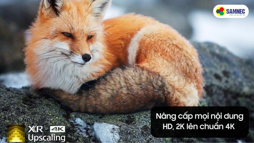 Công nghệ XR 4K Upscaling nâng cấp hình ảnh của Tivi Sony A80L