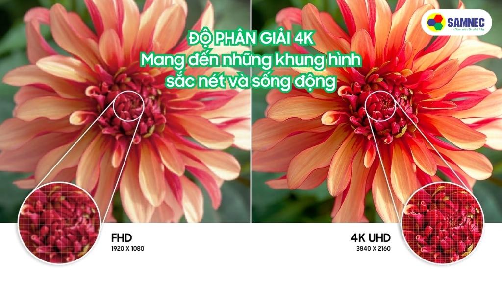 Độ phân giải 4K của Tivi Samsung AU7002