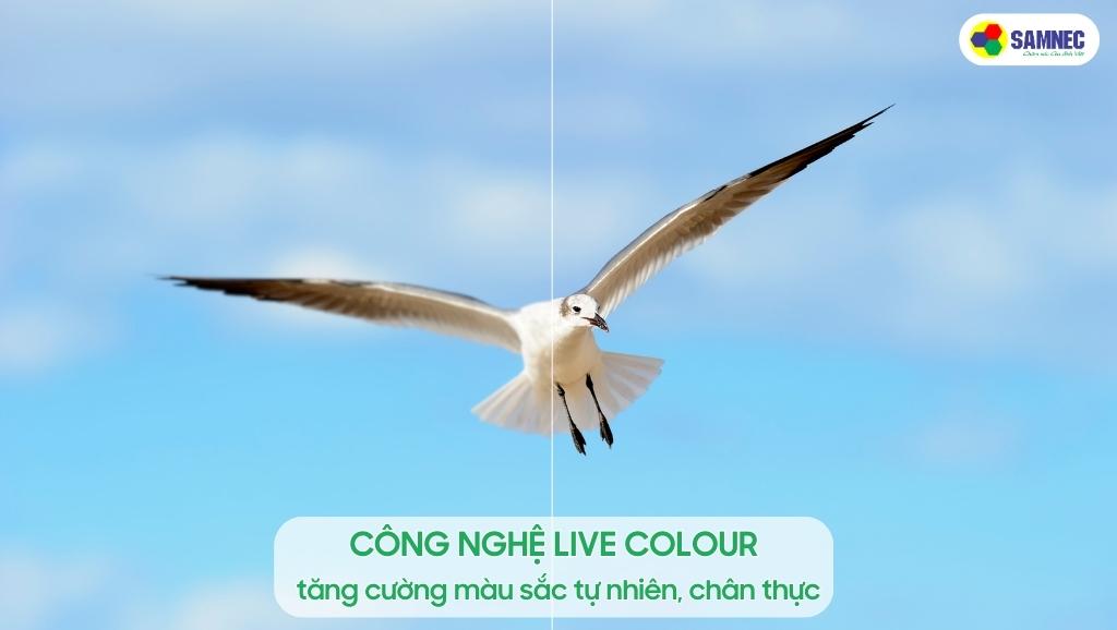 Công nghệ Live Colour kiến tạo sắc màu tự nhiên cho tivi Sony X75K