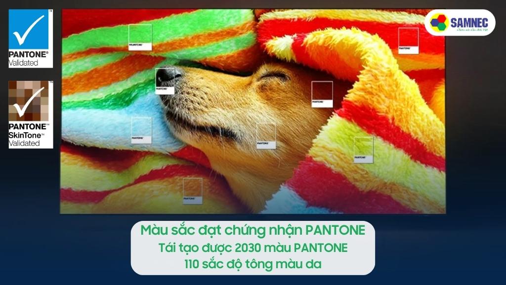 Tivi Samsung S95B được chứng nhận PANTONE