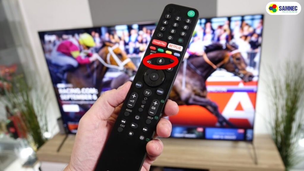 Lưu ý trước khi sử dụng chức năng tìm kiếm giọng nói tivi Sony 