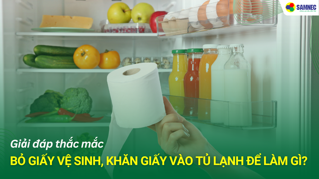 bỏ giấy vệ sinh khăn giấy vào tủ lạnh