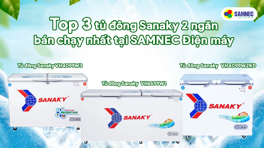 Top 3 tủ đông