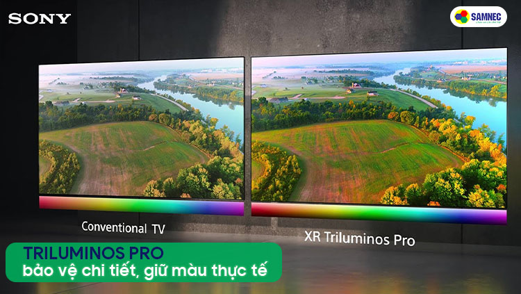 Công nghệ Triluminos Pro giúp hình ảnh giữ được màu sắc thực tế trên tivi Sony