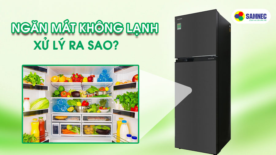 Cách xử lý khi ngăn mát tủ lạnh không lạnh