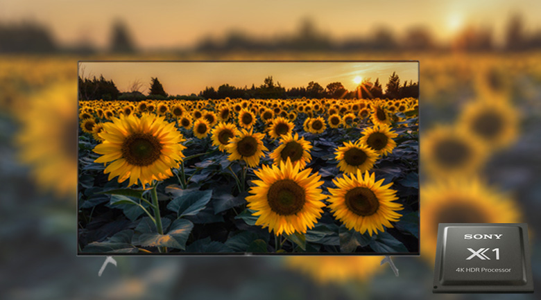 Chip X1 4K HDR Processor - Android Tivi Sony 4K 55 inch KD-55X9000H