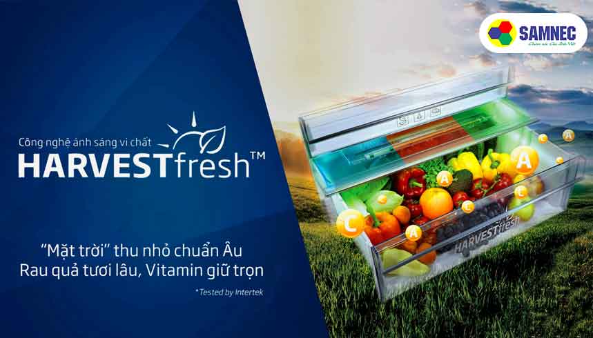 Công nghệ ánh sáng vi chất 3 màu Harvest Fresh trên tủ lạnh Beko 371 lít RDNT371E50VZHFSGB