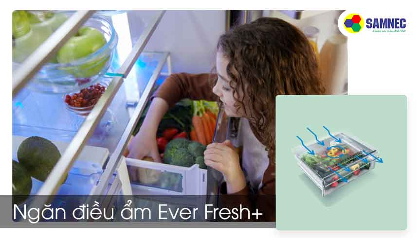 Công nghệ Ngăn điều ẩm EverFresh+ trên tủ lạnh Beko 371 lít RDNT371E50VZHFSGB