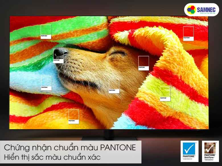 Đạt chứng nhận PANTONE trên Smart Tivi Samsung 43 inch QLED 4K 43Q63C