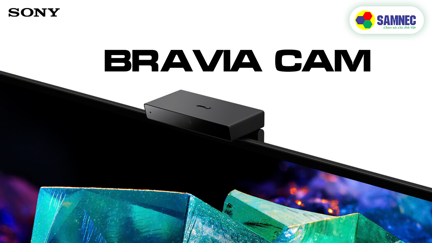 Điều khiển qua Bravia Cam