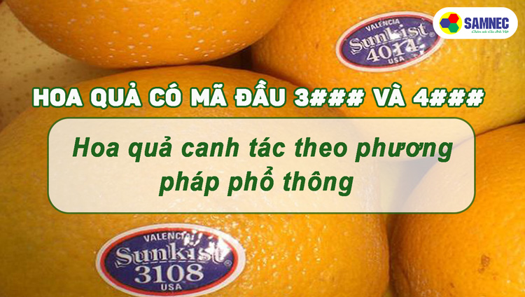 Mã số trái cây bắt đầu bằng số 3 và số 4