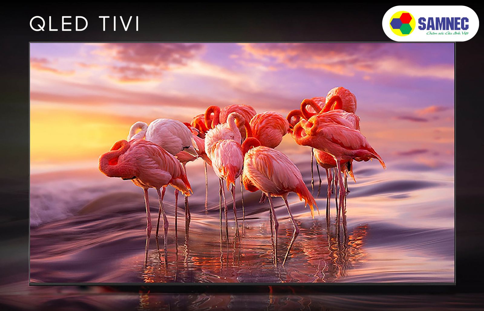 Đèn nên tivi Samsung