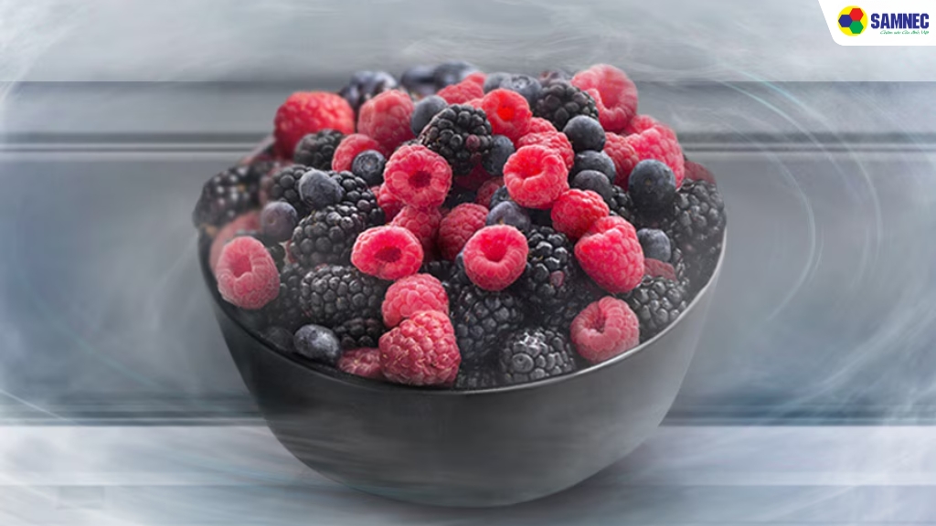công nghệ No Frost 
