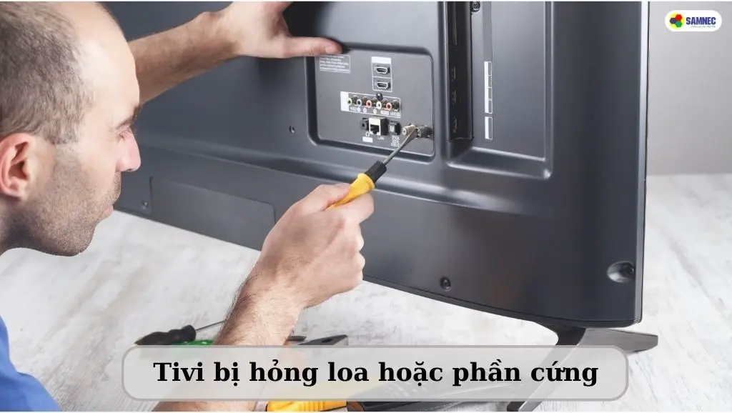 Loa trong hỏng khiến tivi bị rè tiếng