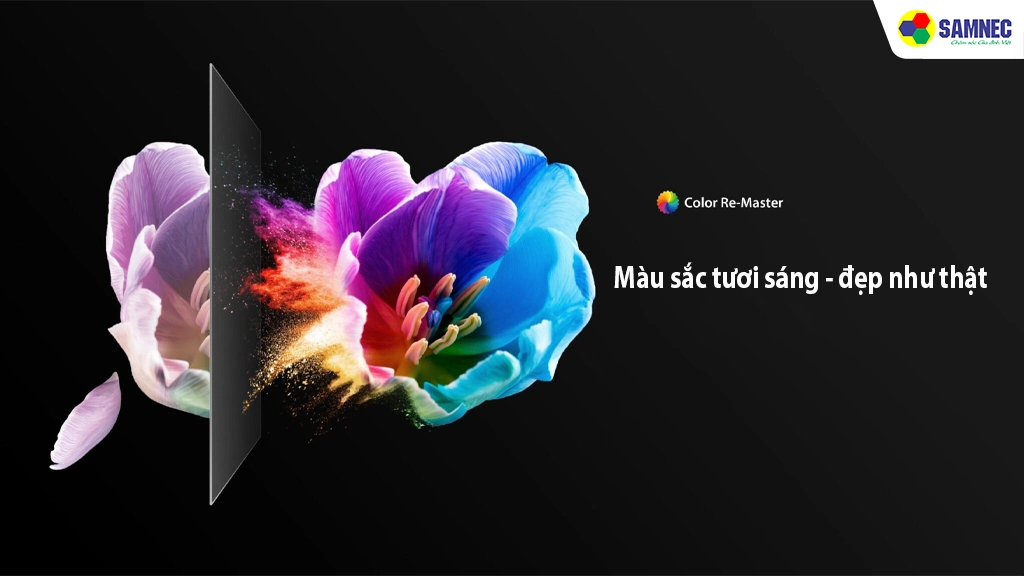 Smart Tivi QLED 4K 55 inch Toshiba 55M450NP - Công nghệ hình ảnh