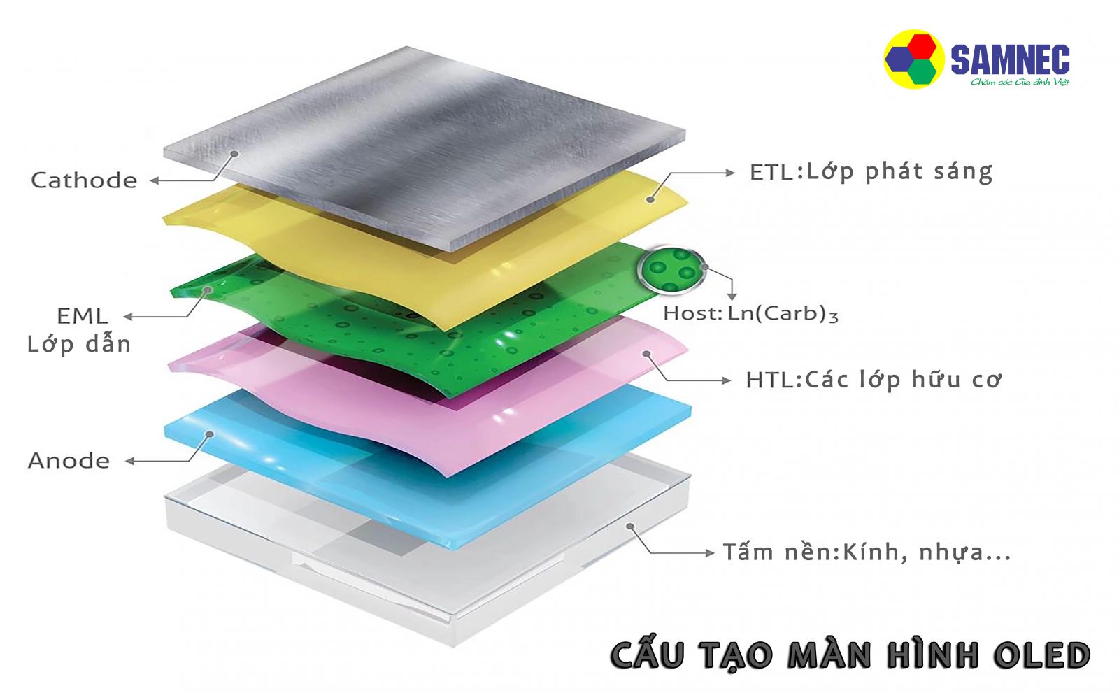 S95B cấu tạo màn hình OLED