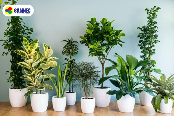  Sử dụng thêm biện pháp làm mát