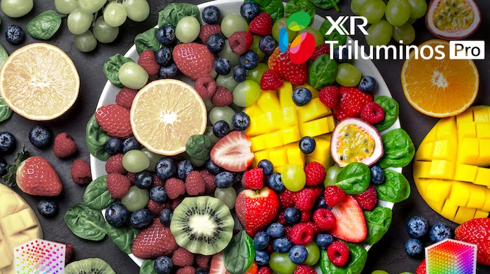 Ảnh cận cảnh hoa quả gồm quả mọng, bưởi, dưa và kiwi