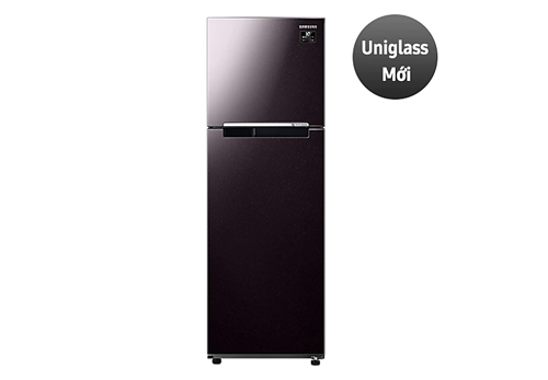 Tủ lạnh Samsung Inverter 256 lít RT25M4032BY/SV
