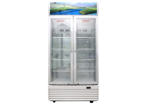 Tủ mát Sanaky 900 lít VH1009HP