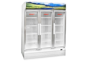 Tủ mát Sanaky 1400 lít VH1520HP
