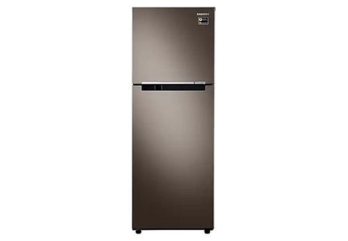 Tủ lạnh Samsung Inverter 236 lít RT22M4032DX/SV