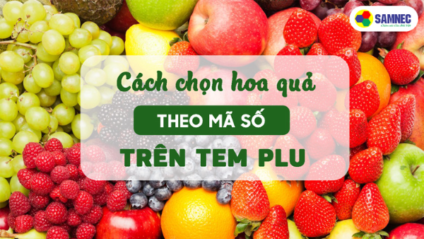 Cách chọn hoa quả theo mã số trên tem PLU 