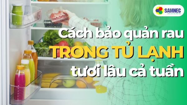 Cách bảo quản rau trong tủ lạnh tươi lâu cả tuần