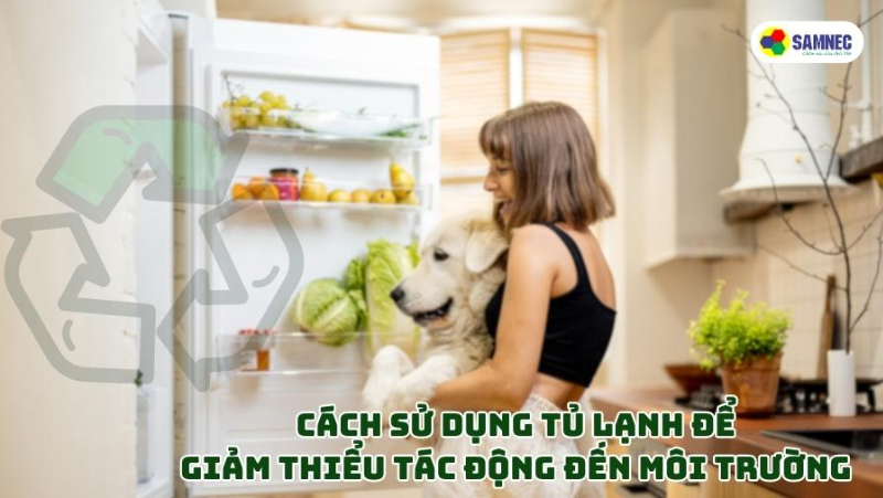 Cách sử dụng tủ lạnh để giảm thiểu tác động đến môi trường