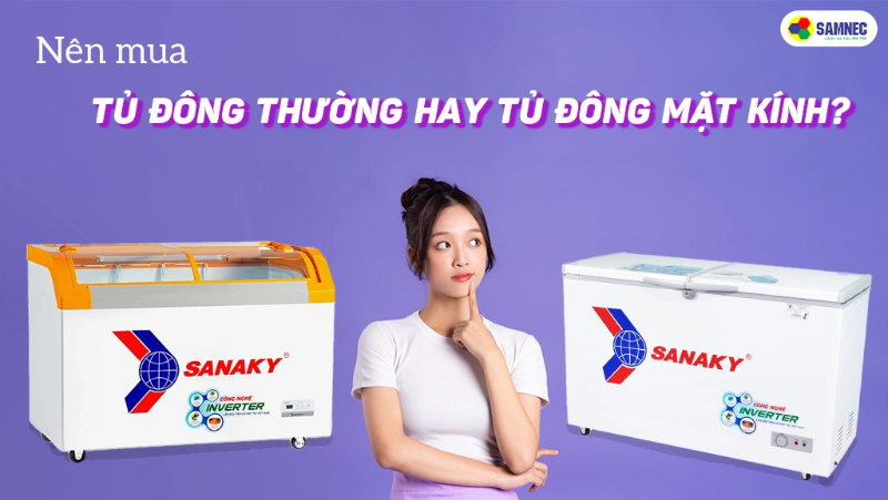 Nên mua tủ đông thường hay tủ đông mặt kính Sanaky? 