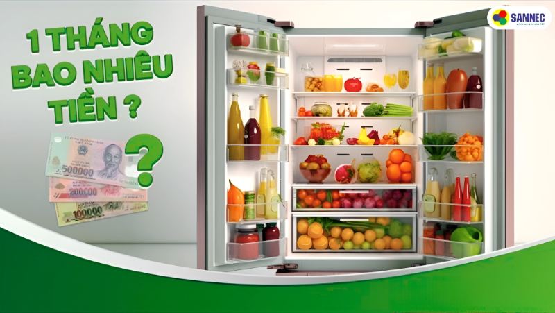 Tiền điện tủ lạnh 1 tháng tốn bao nhiêu? Bí quyết tiết kiệm
