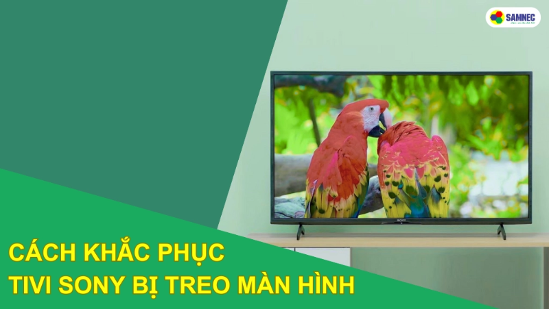 Tivi Sony bị treo màn hình: Nguyên nhân và cách khắc phục