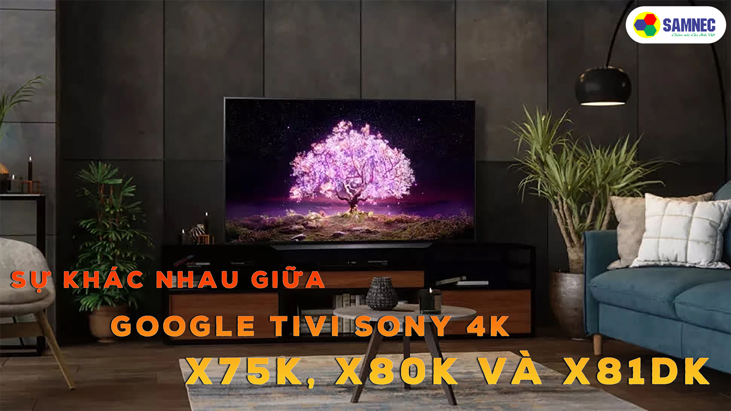 Phân biệt các mẫu Google Tivi Sony 4K X75K, X80K, X81DK