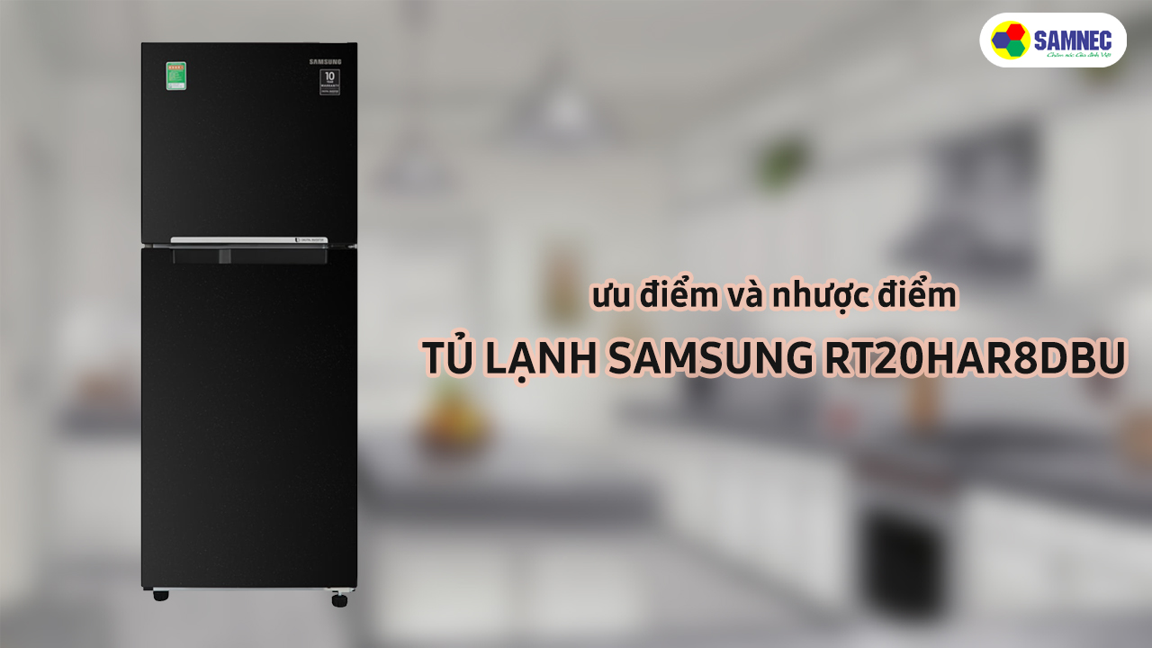 Ưu điểm và nhược điểm của Tủ lạnh Samsung 208 lít RT20HAR8DBU/SV 