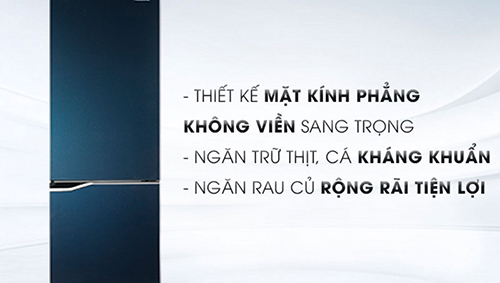 Tổng quan về chiếc tủ lạnh Panasonic Inverter 255 lít NR-BV280GAVN